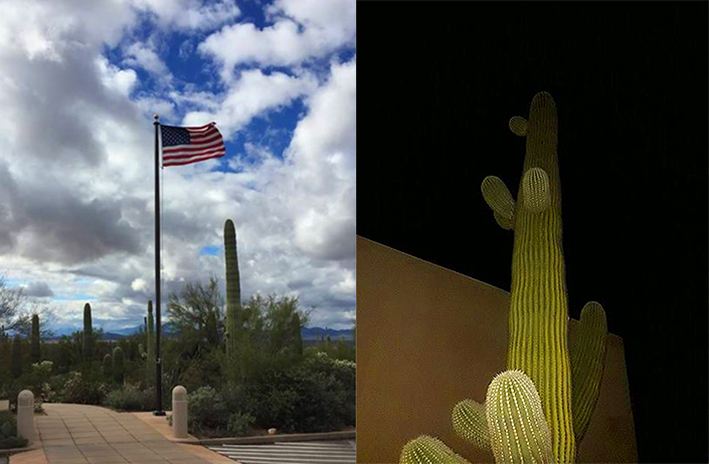 parc saguaro tucson arizona
