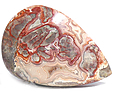 Agate Crazy Lace Agate Crazy Lace