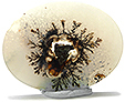 Agate Paysage