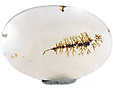 Agate Dendritique