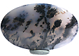 Agate Dendritique