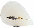 Agate Dendritique Agate Dendritique