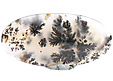 Agate Dendritique Agate Dendritique