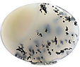 Agate Dendritique