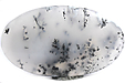 Agate Dendritique