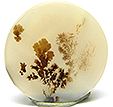 Agate Paysage