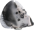 Agate Dendritique