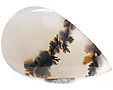 Agate Dendritique Agate Dendritique