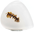 Agate Dendritique Agate Dendritique