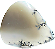 Agate Dendritique