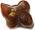 Agate de Feu
