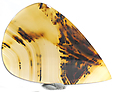 Agate du Montana