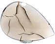 Agate du Montana