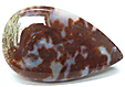 Agate Plume