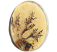 Agate Sc�nique