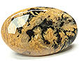 Agate Tigr�e