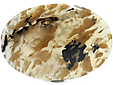 Agate Tigr�e
