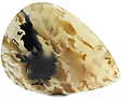 Agate Tigr�e