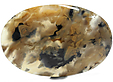 Agate Tigr�e