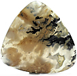 Agate Tigr�e