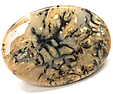 Agate Tigr�e