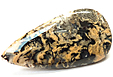 Agate Tigr�e