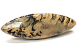 Agate Tigr�e