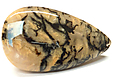 Agate Tigr�e