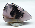 Agate Sage Am�thyste