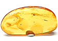 Ambre avec Insecte(s)