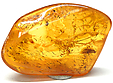 Ambre avec Insecte(s)