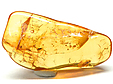 Ambre avec Insecte(s)