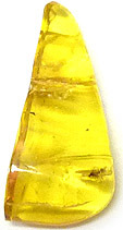 Ambre