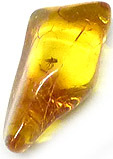 Ambre