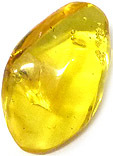 Ambre
