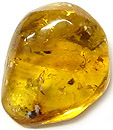 Ambre