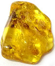 Ambre