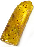 Ambre