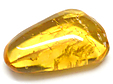 Ambre avec Insecte(s)