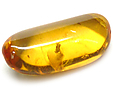 Ambre avec Insecte(s)