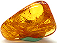 Ambre avec Insecte(s)