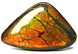 Ammolite