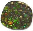 Ammolite
