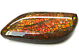 Ammolite