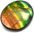 Ammolite