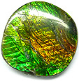 Ammolite
