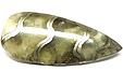 Ammonite Pyritis�e