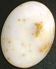 Agate Polka Dot