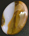 Agate Polka Dot