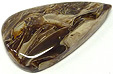 Bois Fossilis�